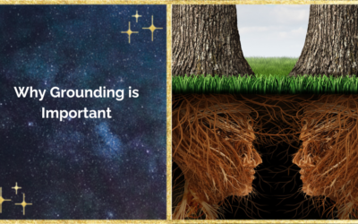 Why Grounding is Important